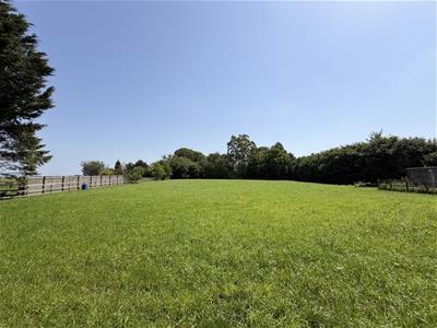 Picture 31